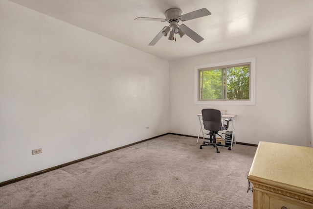 14111 Tod William Dr, Orland Park, IL 60462 - photo 13