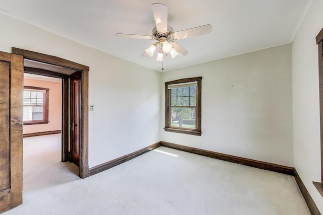 6854 N Osceola Ave, Chicago, IL 60631 - photo 15