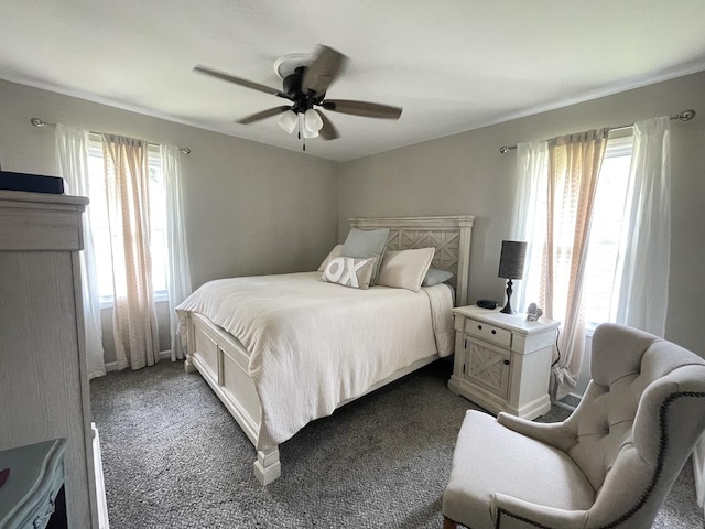 1110 Pike St, Peru, IL 61354 - bedroom featuring multiple windows, dark colored carpet, and a ceiling fan