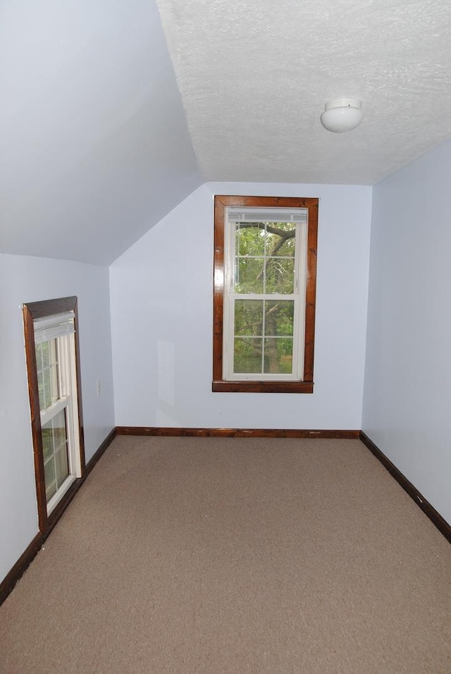 2840 W Ziebarth Rd, Normal, IL 61761 - additional living space with carpet, vaulted ceiling, and a textured ceiling