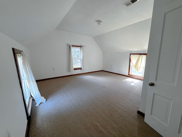 2840 W Ziebarth Rd, Normal, IL 61761 - bonus room featuring vaulted ceiling and carpet