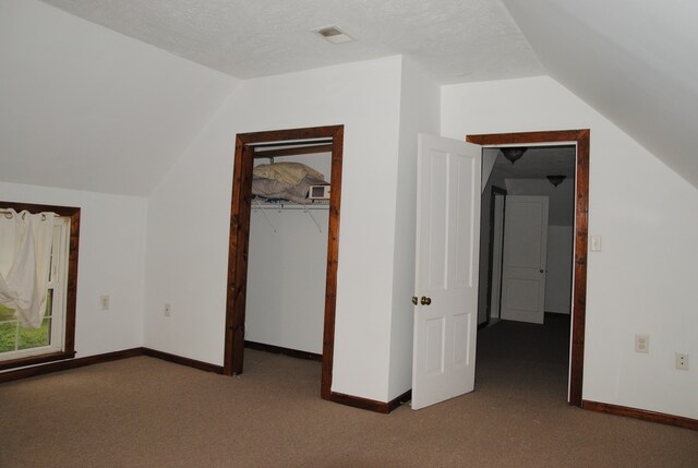 2840 W Ziebarth Rd, Normal, IL 61761 - additional living space with lofted ceiling and carpet