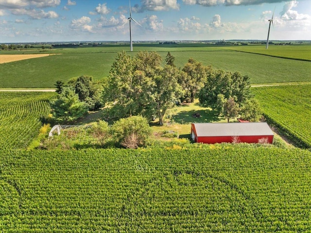 2840 W Ziebarth Rd, Normal, IL 61761 - view of rural area with extensive farmland