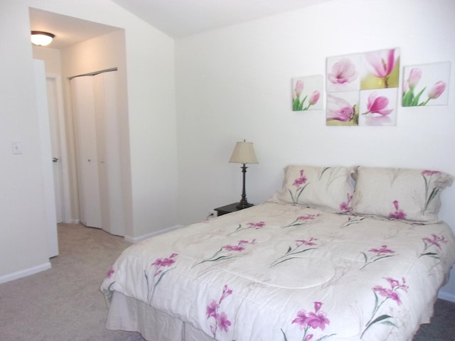 570 Windsor Dr Unit 570, Fox Lake, IL 60020 - carpeted bedroom with a closet and baseboards