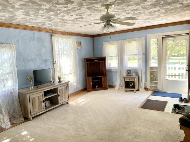 702 Meriden St, Mendota, IL 61342 - photo 3