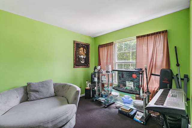 229 Ascot Ln, Streamwood, IL 60107 - office featuring baseboards