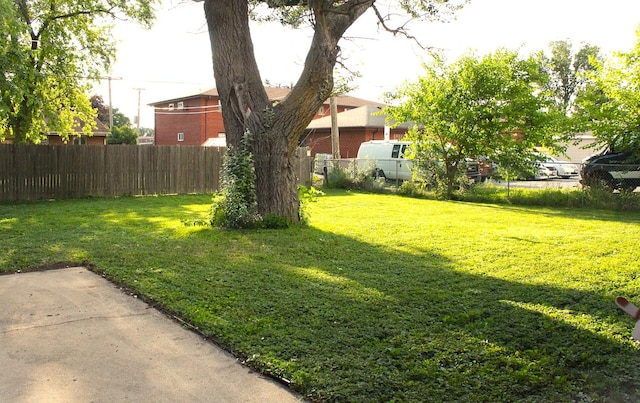 7926 S 83rd Ct, Justice, IL 60458 - view of yard