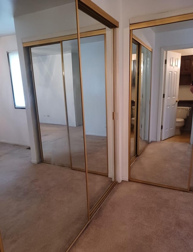 20137 Woodale St Unit 20137, Lynwood, IL 60411 - view of closet