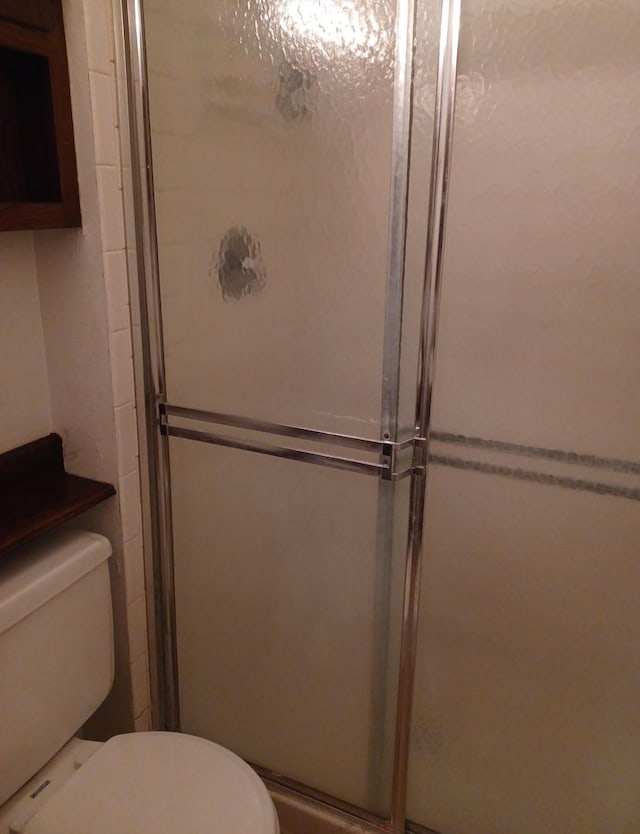 20137 Woodale St Unit 20137, Lynwood, IL 60411 - full bath with a stall shower