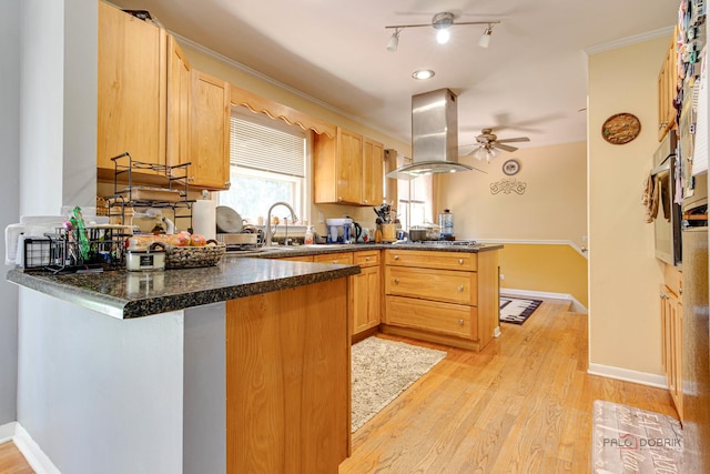 23W073 Dickens Ave, Glen Ellyn, IL 60137 - kitchen featuring a peninsula, island exhaust hood, a ceiling fan, light wood finished floors, and stainless steel gas stovetop