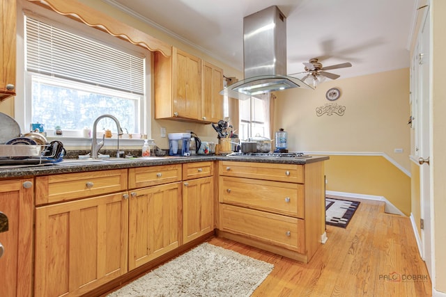 23W073 Dickens Ave, Glen Ellyn, IL 60137 - kitchen featuring island exhaust hood, a ceiling fan, light wood-type flooring, healthy amount of natural light, and crown molding