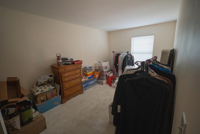 510 Orchards Pass, Bartlett, IL 60103 - bedroom featuring carpet floors