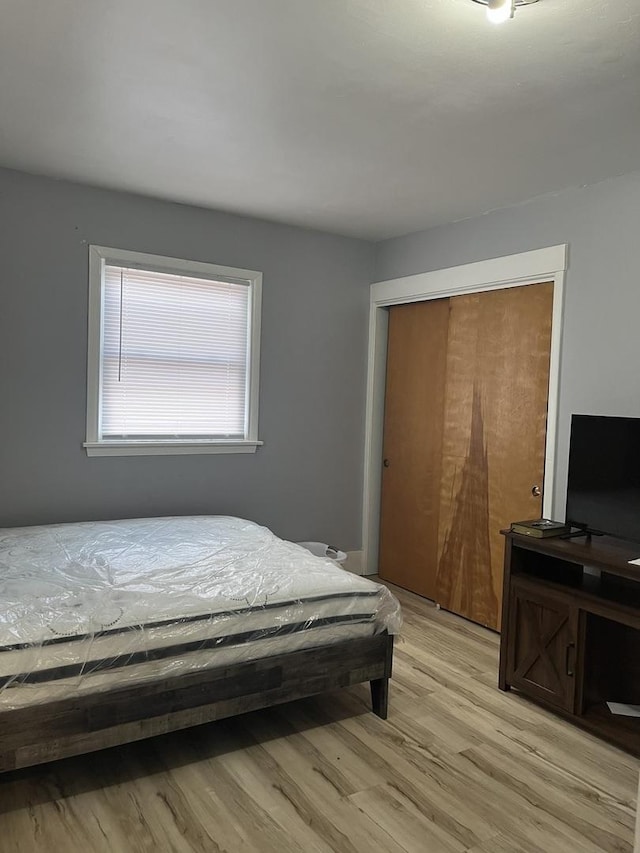 404-408 N Farnsworth Ave, Aurora, IL 60505 - bedroom with light wood-style flooring and a closet