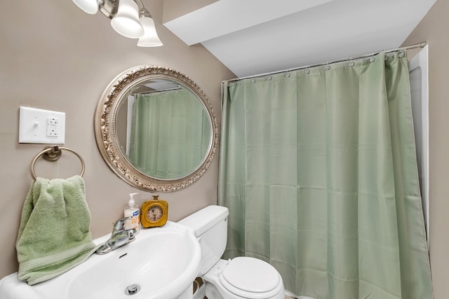 2570 Cobblestone Ct, Morris, IL 60450 - full bath featuring lofted ceiling and curtained shower
