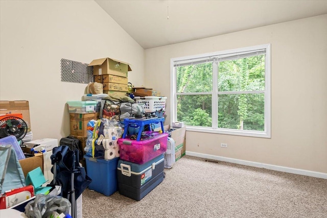 25612 W Woodlawn Ave, Antioch, IL 60002 - view of storage