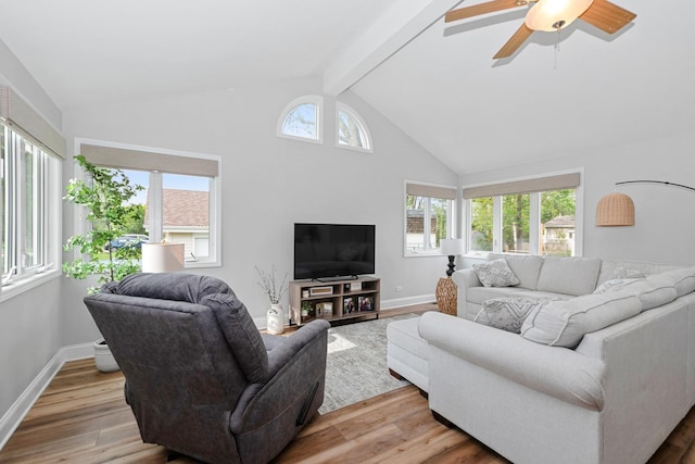 7288 174th Pl, Tinley Park, IL 60477 - living area featuring light wood-style flooring and ceiling fan