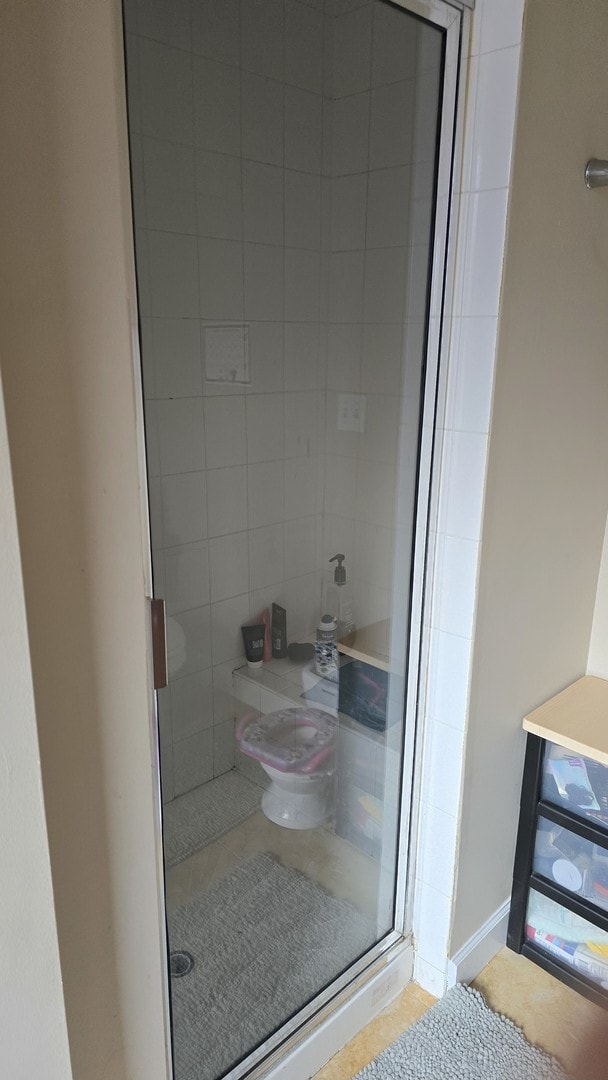3733 S Lake Park Ave, Chicago, IL 60653 - bathroom with a stall shower and toilet