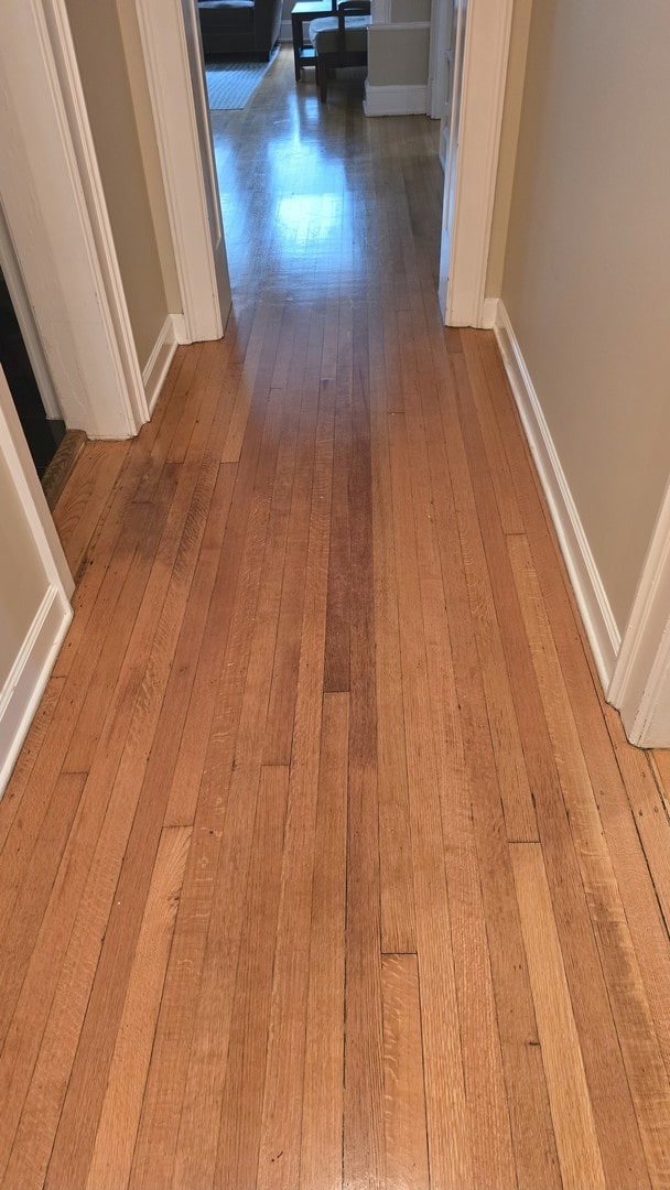 3733 S Lake Park Ave, Chicago, IL 60653 - hallway with wood-type flooring and baseboards