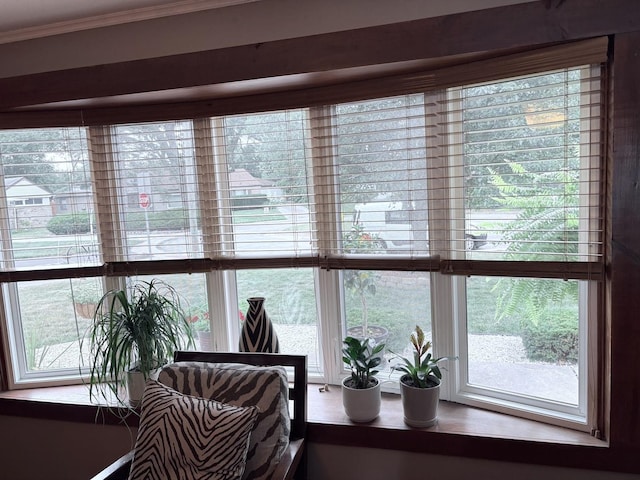 10 Sauk Ct, Park Forest, IL 60466 - photo 9