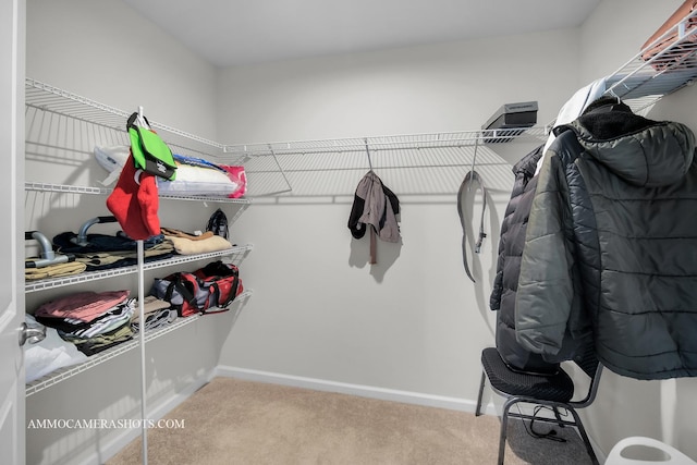 3376 Helene Rieder Dr, Montgomery, IL 60538 - spacious closet featuring carpet