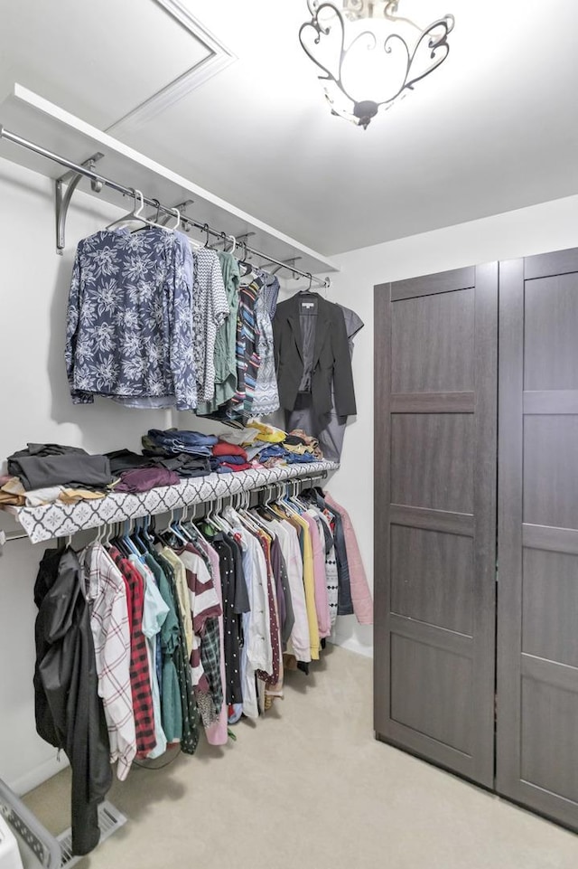 1123 Chadwick Ct, Aurora, IL 60502 - spacious closet with carpet floors