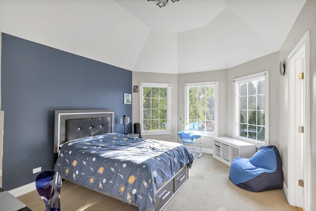 1123 Chadwick Ct, Aurora, IL 60502 - bedroom featuring lofted ceiling and carpet