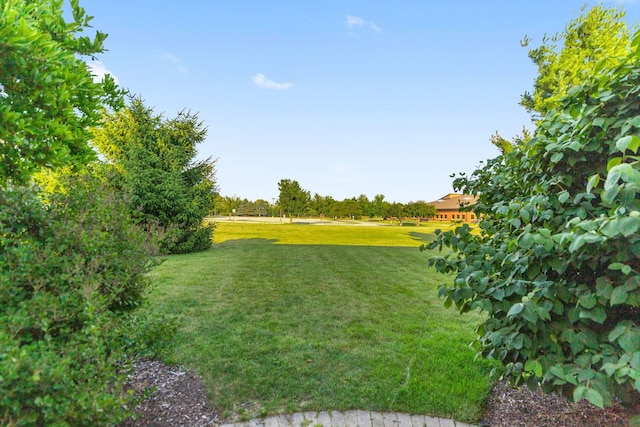 1123 Chadwick Ct, Aurora, IL 60502 - view of grassy yard