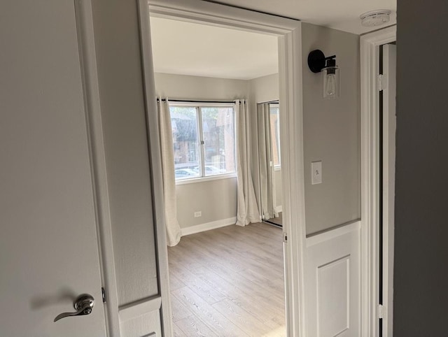 4819 W 109th St Unit 204, Oak Lawn, IL 60453 - hall featuring wood finished floors and baseboards