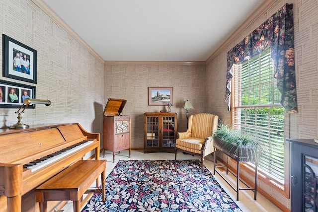 3063 Wedgewood Dr, Dekalb, IL 60115 - living area with ornamental molding
