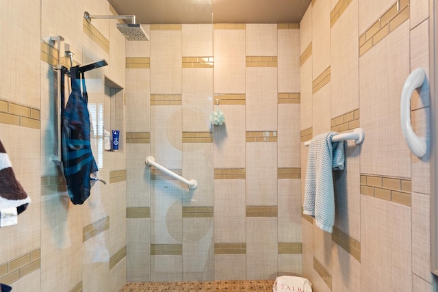 3063 Wedgewood Dr, Dekalb, IL 60115 - full bathroom with tiled shower