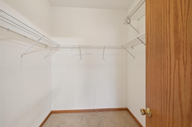 11636 Waterway Ct, Orland Park, IL 60467 - spacious closet with light carpet