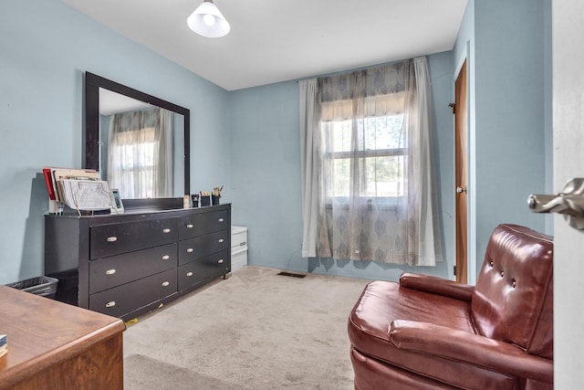6890 Hickory St, Hanover Park, IL 60133 - photo 14