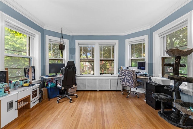 126 N Austin Blvd Unit 2N, Oak Park, IL 60302 - home office featuring light wood-style flooring, plenty of natural light, crown molding, and radiator
