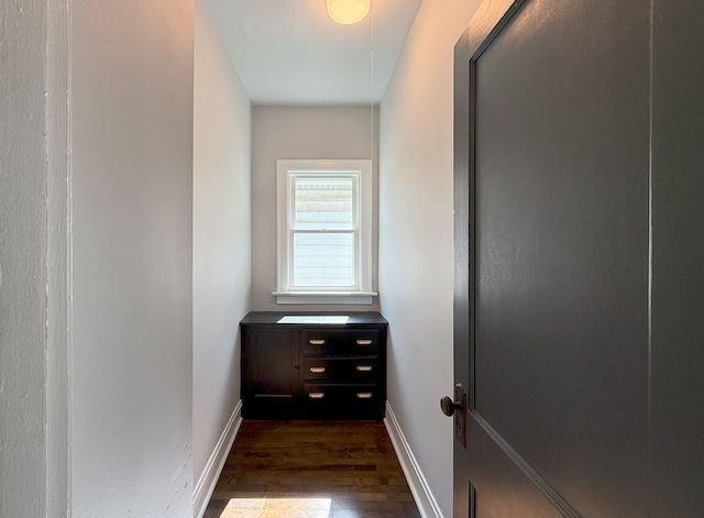 30 E 102nd St, Chicago, IL 60628 - hall with dark wood-style flooring and attic access
