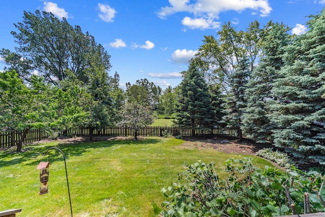 739 Crest Ave, Schaumburg, IL 60193 - view of fenced backyard