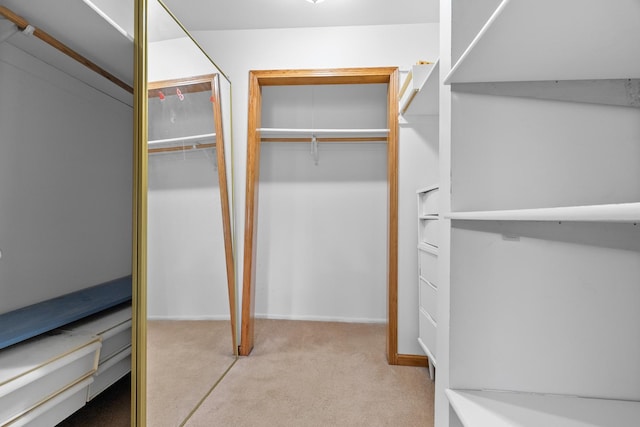 739 Crest Ave, Schaumburg, IL 60193 - spacious closet featuring carpet