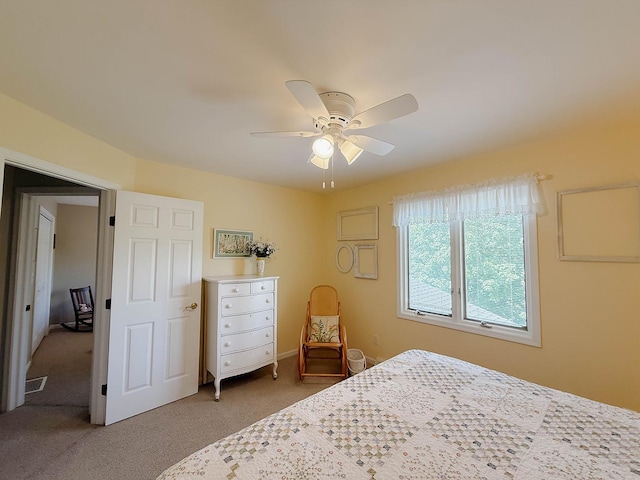 1125 Mcconnell Ave, Dekalb, IL 60115 - photo 55