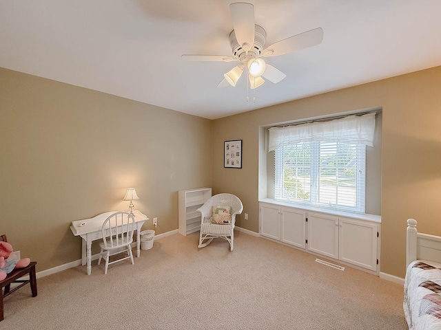 1125 Mcconnell Ave, Dekalb, IL 60115 - photo 57