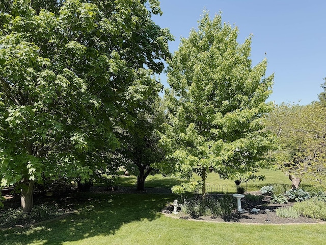 1125 Mcconnell Ave, Dekalb, IL 60115 - photo 64