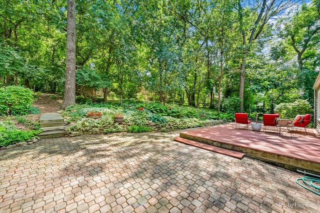515 Timbers Trl, Saint Charles, IL 60174 - view of patio