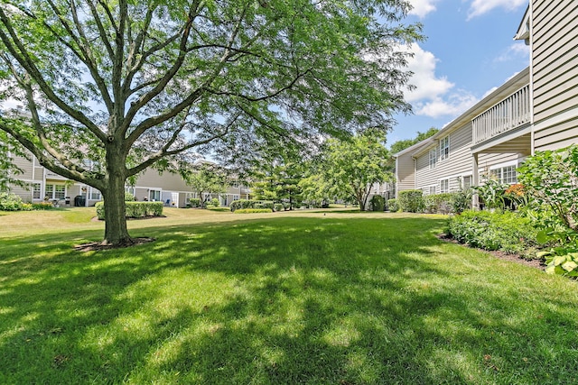 322 Winfield Ct, Schaumburg, IL 60194 - view of green lawn
