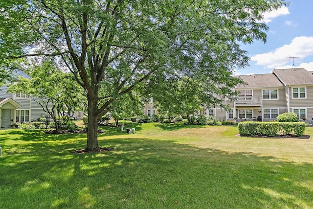 322 Winfield Ct, Schaumburg, IL 60194 - view of green lawn