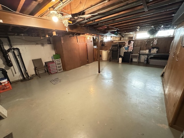 11117 S S Ave L, Chicago, IL 60617 - view of below grade area