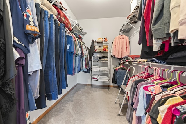 18211 Eagle Dr, Tinley Park, IL 60477 - spacious closet featuring carpet flooring