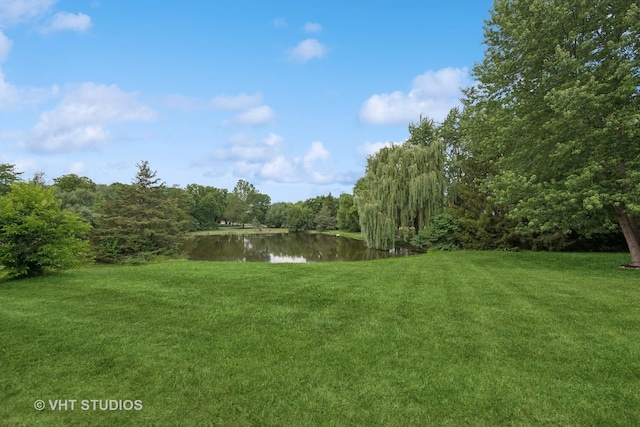 4 Taynton Ln, South Barrington, IL 60010 - photo 28