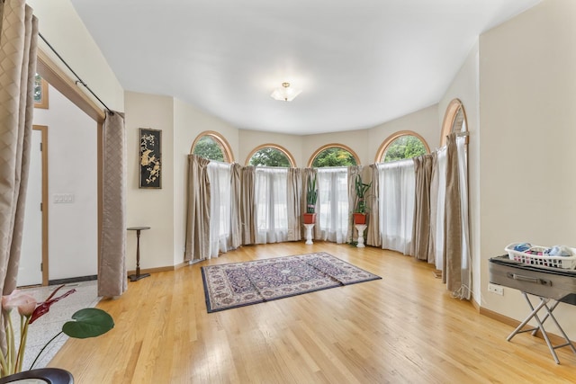 1007 Wildwood Ln, Mount Prospect, IL 60056 - entryway featuring wood finished floors and baseboards