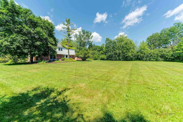 555 W Everett Rd, Lake Forest, IL 60045 - view of green lawn