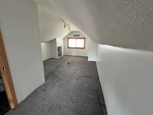 2722 Euclid Ave, Berwyn, IL 60402 - bonus room featuring a textured ceiling, vaulted ceiling, and carpet flooring