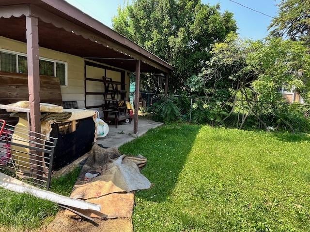 2722 Euclid Ave, Berwyn, IL 60402 - view of yard