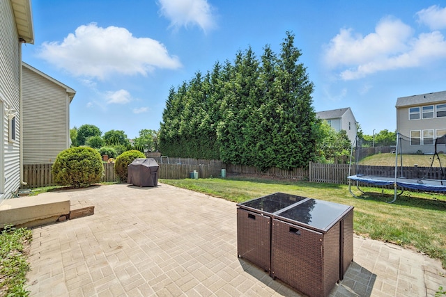 2942 Heather Ln, Montgomery, IL 60538 - fenced backyard with a trampoline and a patio